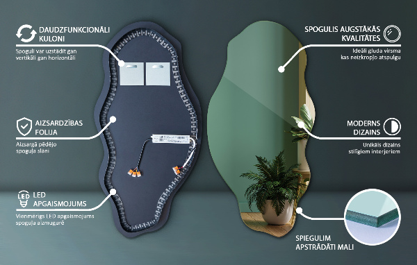 Organische spiegel met verlichting elegant 50x100 cm