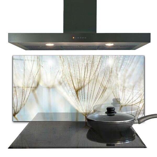 Spatscherm keuken glas Paardenbloem in de wind