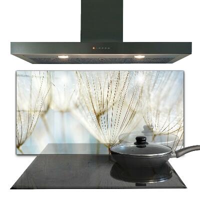 Spatscherm keuken glas Paardenbloem in de wind