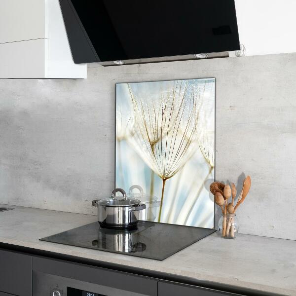 Spatscherm keuken glas Paardenbloem in de wind