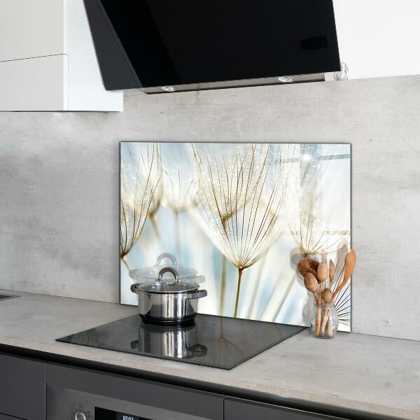 Spatscherm keuken glas Paardenbloem in de wind