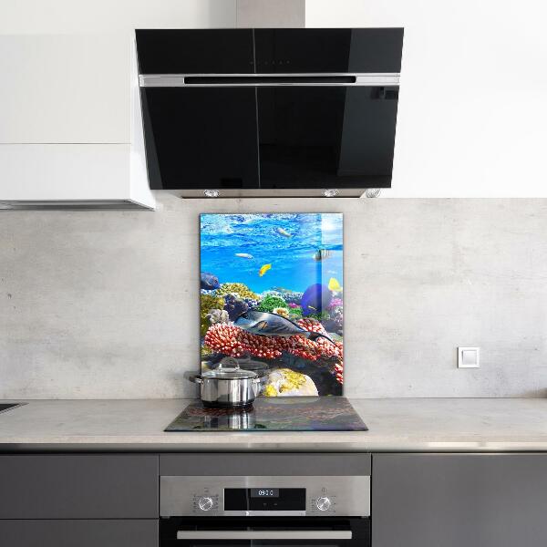 Spatplaat keuken Koraalrif van de Rode Zee