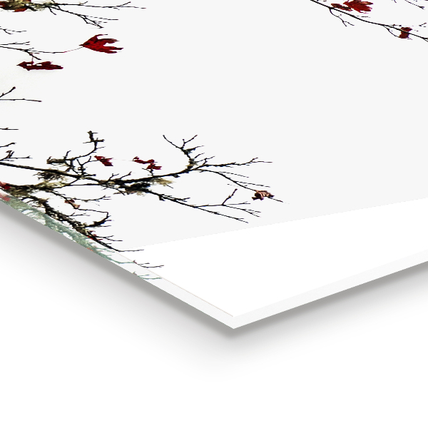 Achterwand keuken Landschapsrust