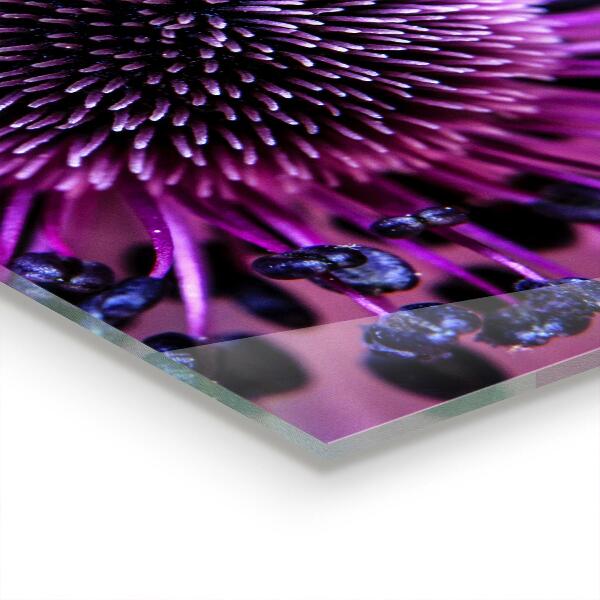 Spatscherm keuken glas Paarse bloem