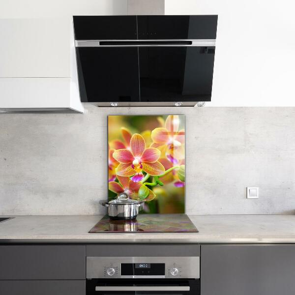 Keuken achterwand glas Oranje Orchidee