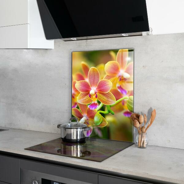 Keuken achterwand glas Oranje Orchidee