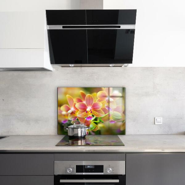Keuken achterwand glas Oranje Orchidee