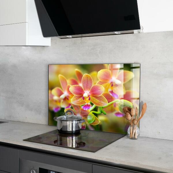 Keuken achterwand glas Oranje Orchidee