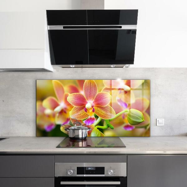 Keuken achterwand glas Oranje Orchidee