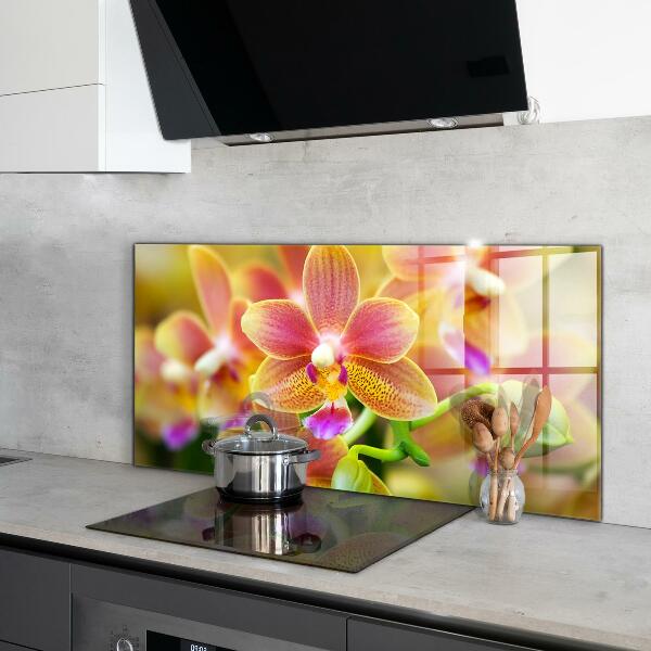 Keuken achterwand glas Oranje Orchidee