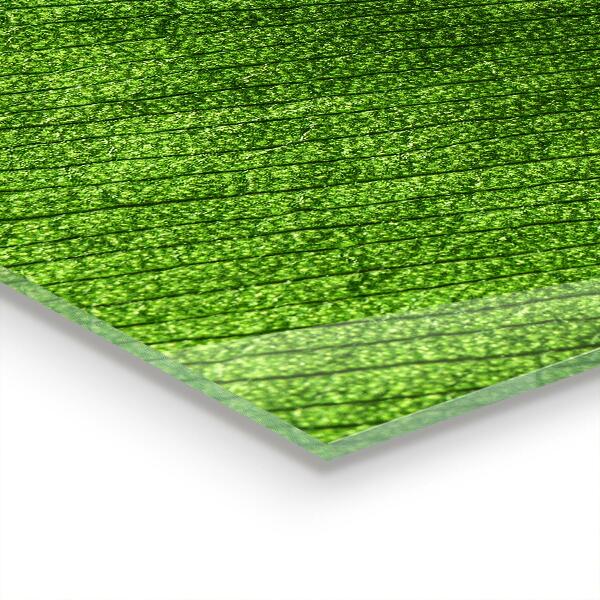 Foto achterwand keuken Dauwdruppel op een blad