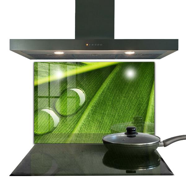 Foto achterwand keuken Dauwdruppel op een blad