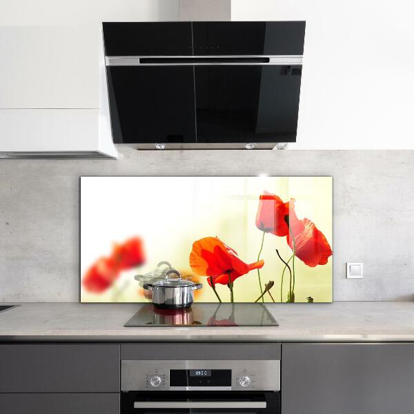 Keuken achterwand glas Veldweide met rode klaprozen