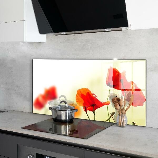 Keuken achterwand glas Veldweide met rode klaprozen