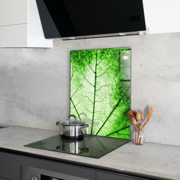Spatscherm keuken glas Groene bladtextuur