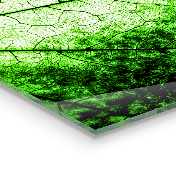 Spatscherm keuken glas Groene bladtextuur