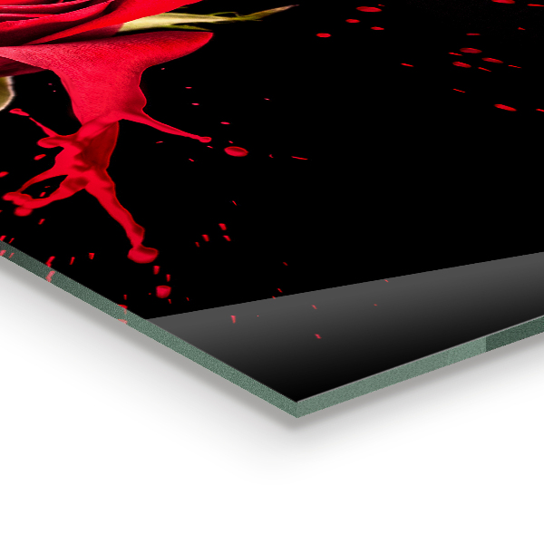 Achterwand keuken Abstracte rode roos