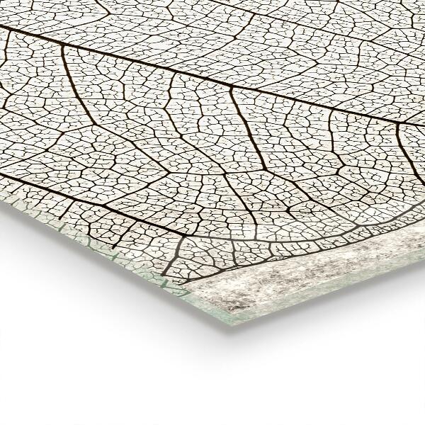 Keuken achterwand glas Sepia bladtextuur