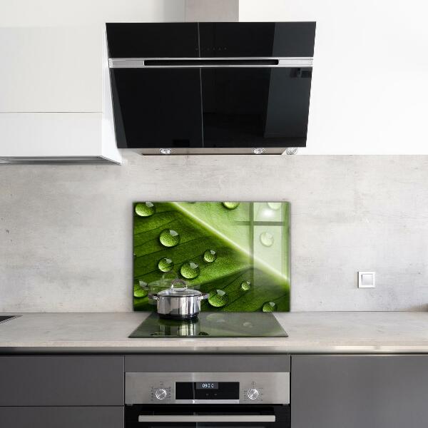 Foto achterwand keuken Blad met druppels ochtenddauw