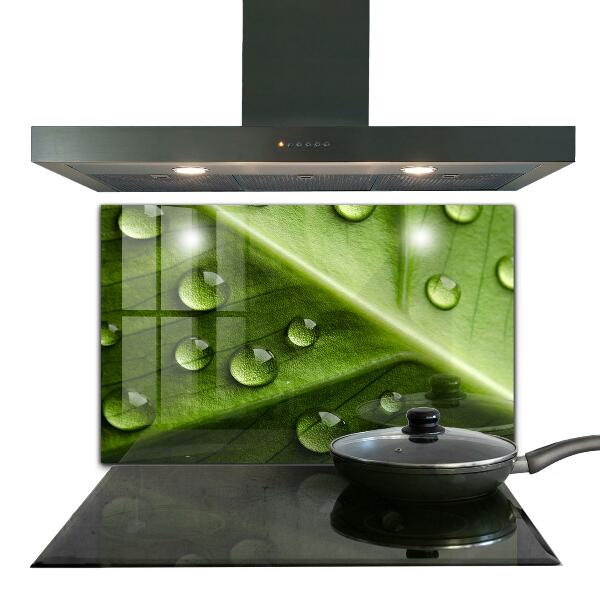 Foto achterwand keuken Blad met druppels ochtenddauw