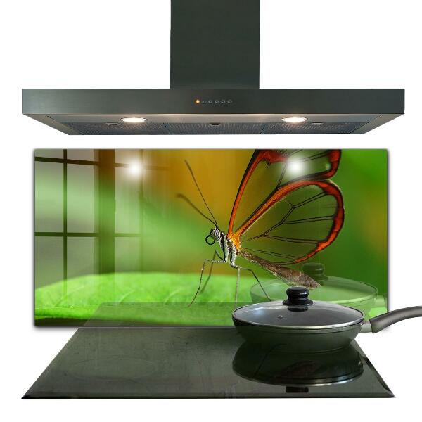 Keuken achterwand glas Vlinder op een blad
