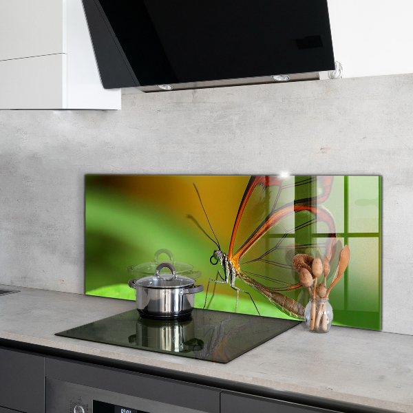 Keuken achterwand glas Vlinder op een blad