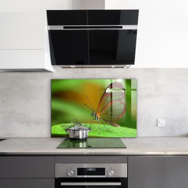Keuken achterwand glas Vlinder op een blad