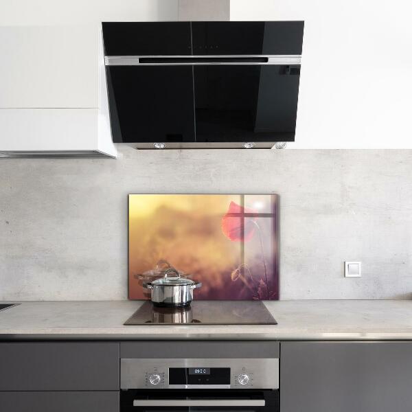 Keuken achterwand glas Vintage klaproosplant