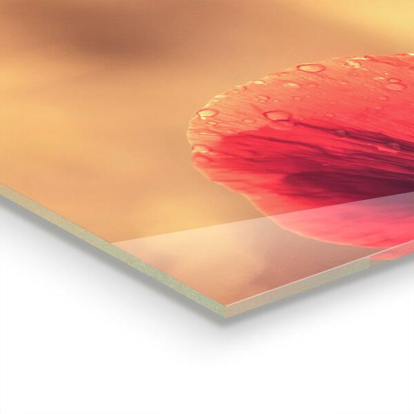 Keuken achterwand glas Vintage klaproosplant