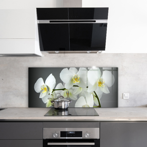 Spatplaat keuken Witte orchidee op een zwarte achtergrond