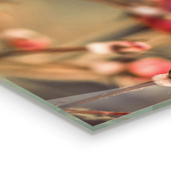 Spatscherm keuken glas Wilde roos in het park