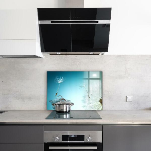 Spatscherm keuken glas Paardenbloem in de wind