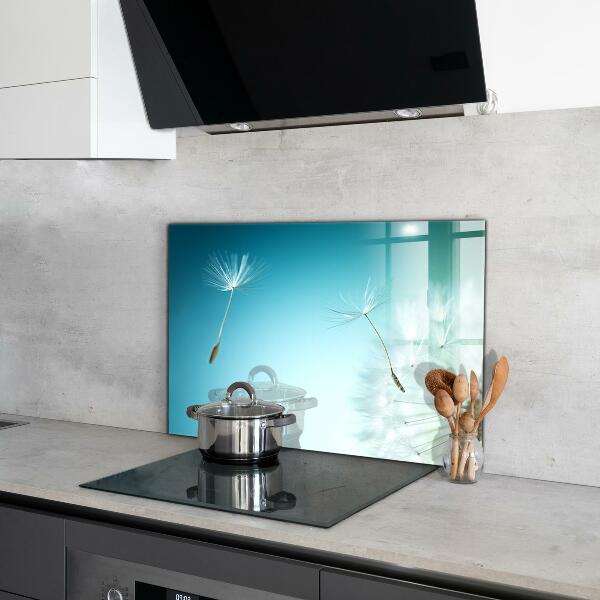 Spatscherm keuken glas Paardenbloem in de wind