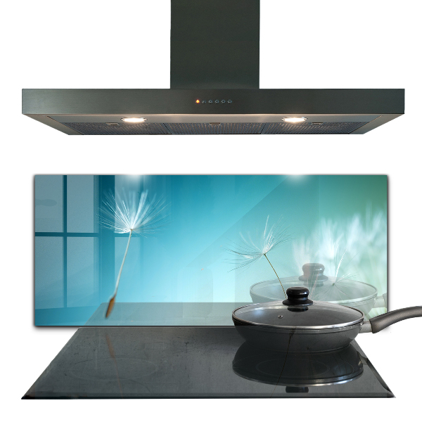 Spatscherm keuken glas Paardenbloem in de wind