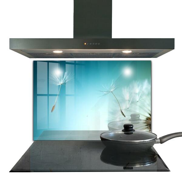 Spatscherm keuken glas Paardenbloem in de wind