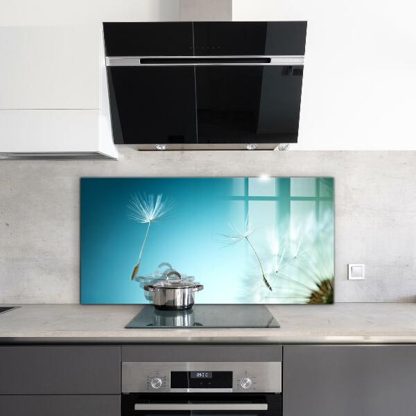 Spatscherm keuken glas Paardenbloem in de wind