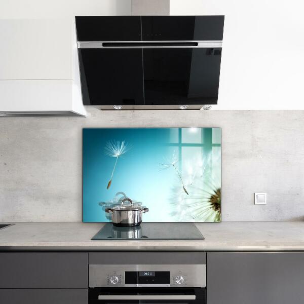 Spatscherm keuken glas Paardenbloem in de wind