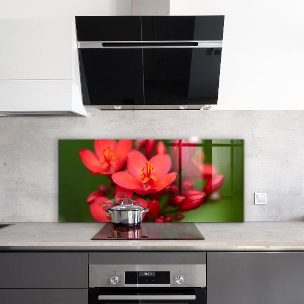 Keuken achterwand glas Bloeiende bloemknoppen