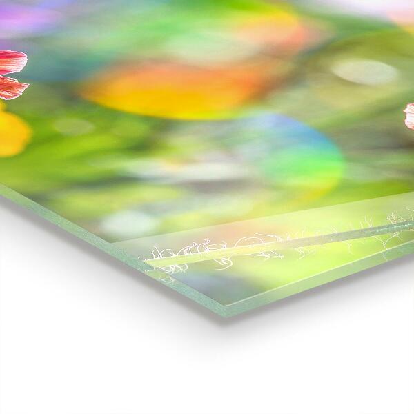 Foto achterwand keuken Zomerse klaprozenweide