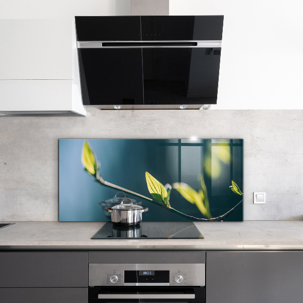 Spatplaat keuken Glanzend blad aan een tak