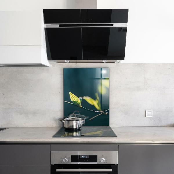 Spatplaat keuken Glanzend blad aan een tak