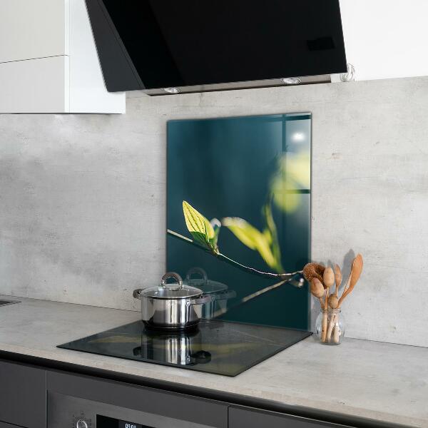 Spatplaat keuken Glanzend blad aan een tak