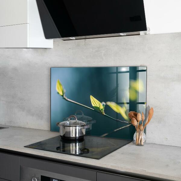 Spatplaat keuken Glanzend blad aan een tak