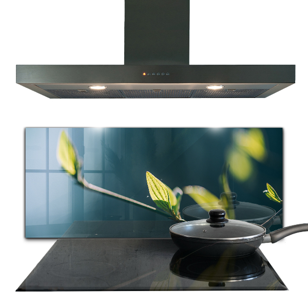 Spatplaat keuken Glanzend blad aan een tak