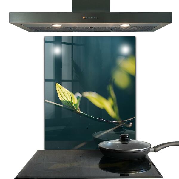 Spatplaat keuken Glanzend blad aan een tak