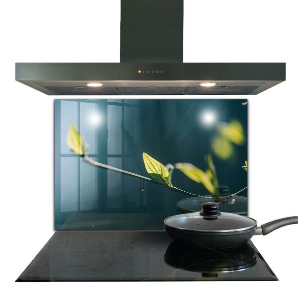 Spatplaat keuken Glanzend blad aan een tak