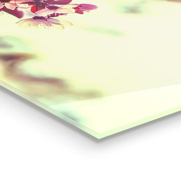 Spatscherm keuken glas Bloeiende roze boom