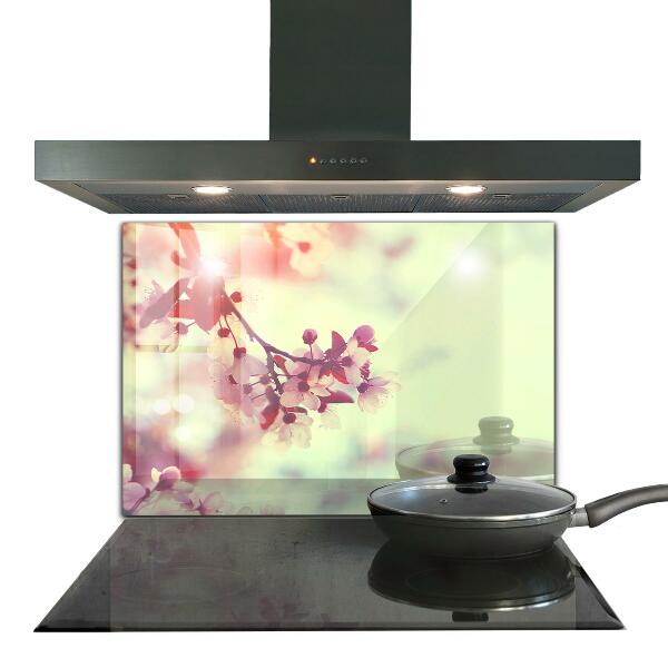 Spatscherm keuken glas Bloeiende roze boom