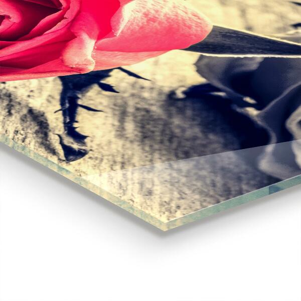 Achterwand keuken De roos, symbool van de liefde