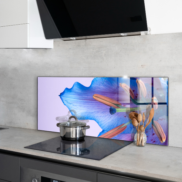 Keuken achterwand glas Prachtige blauwe lelie